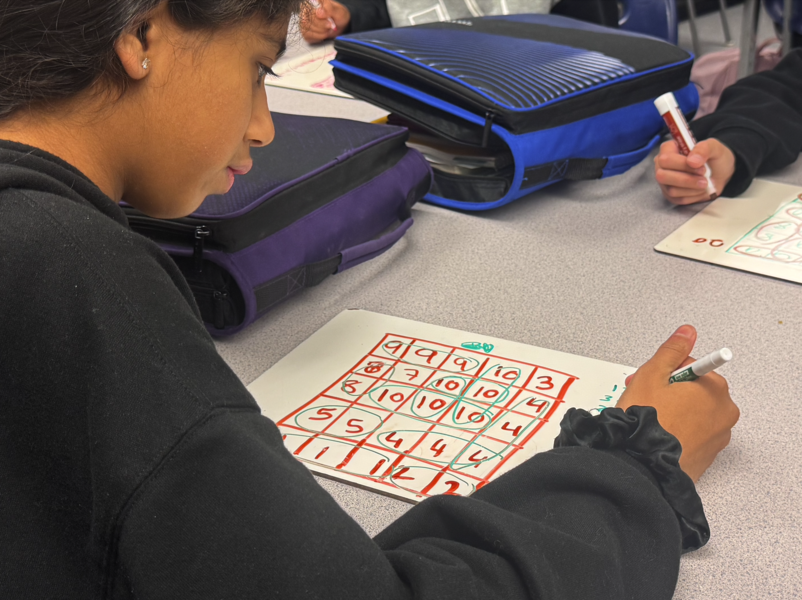 Student engaged in a math game to build numeracy skills.