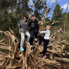 Boys climbing root of a tree